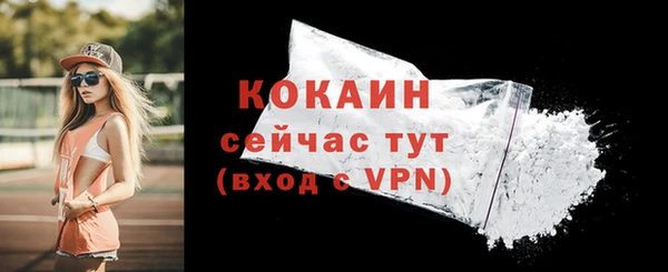 прущие грибы Навашино